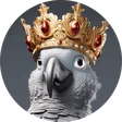 enzo_bet